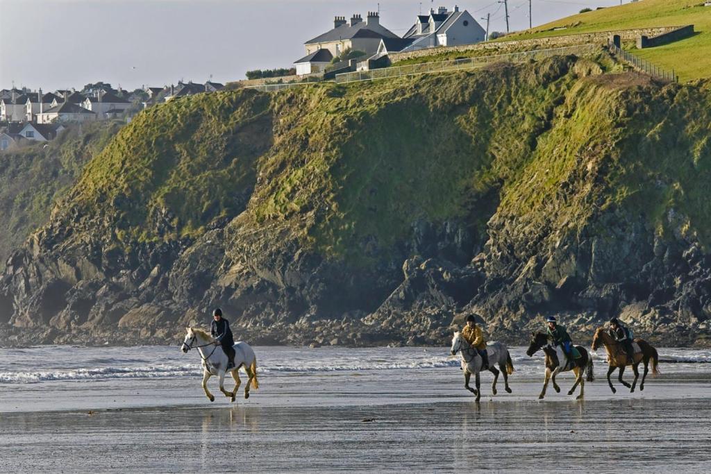 Beach Haven B&B Трамор Номер фото